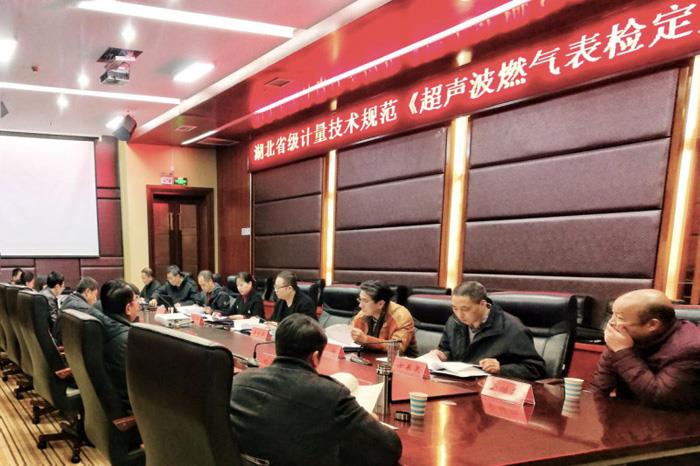 湖北省《超聲波燃?xì)獗頇z定規(guī)程》順利通過評審